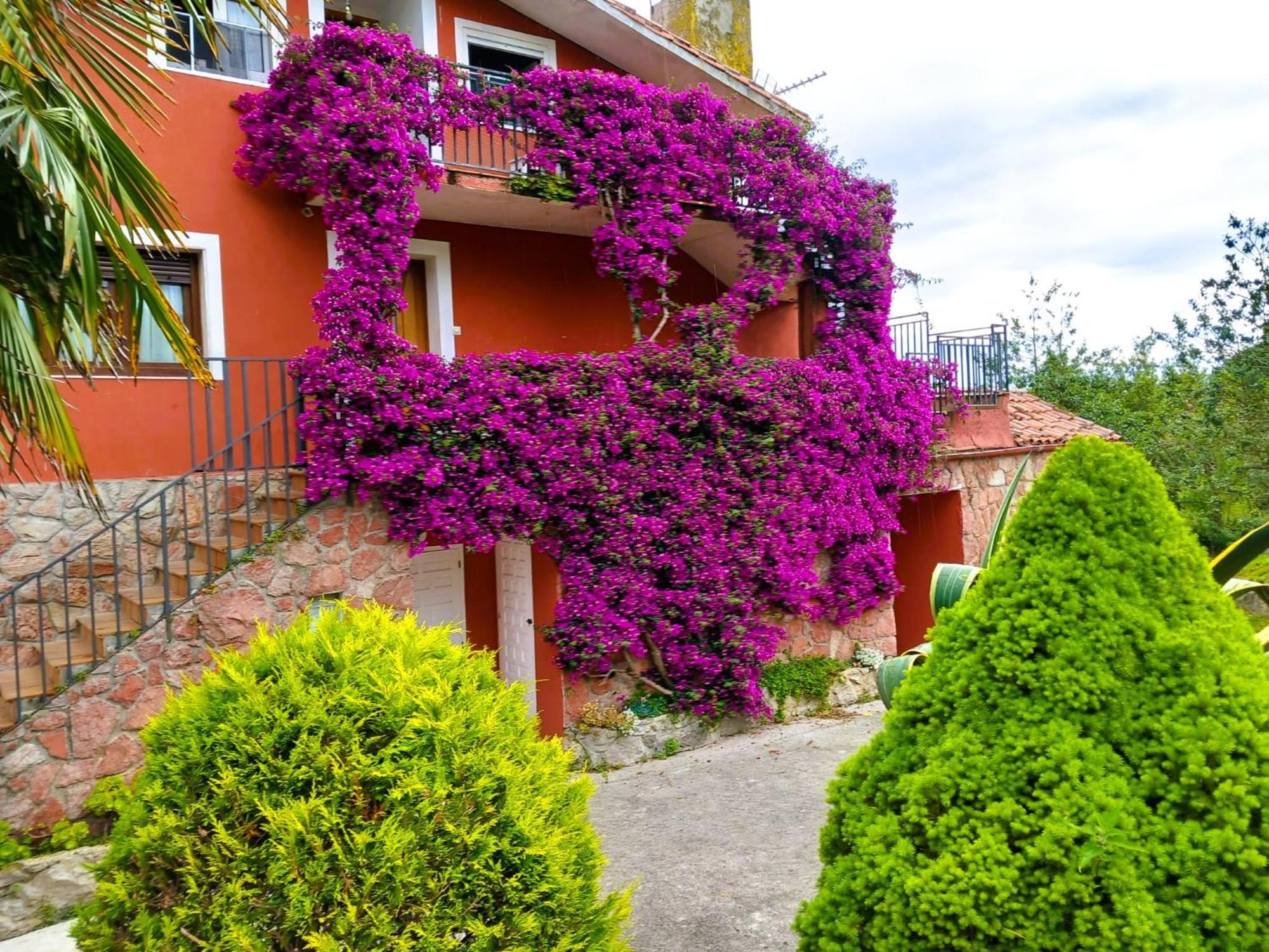 Apartamentos Mariaje Barro  Extérieur photo