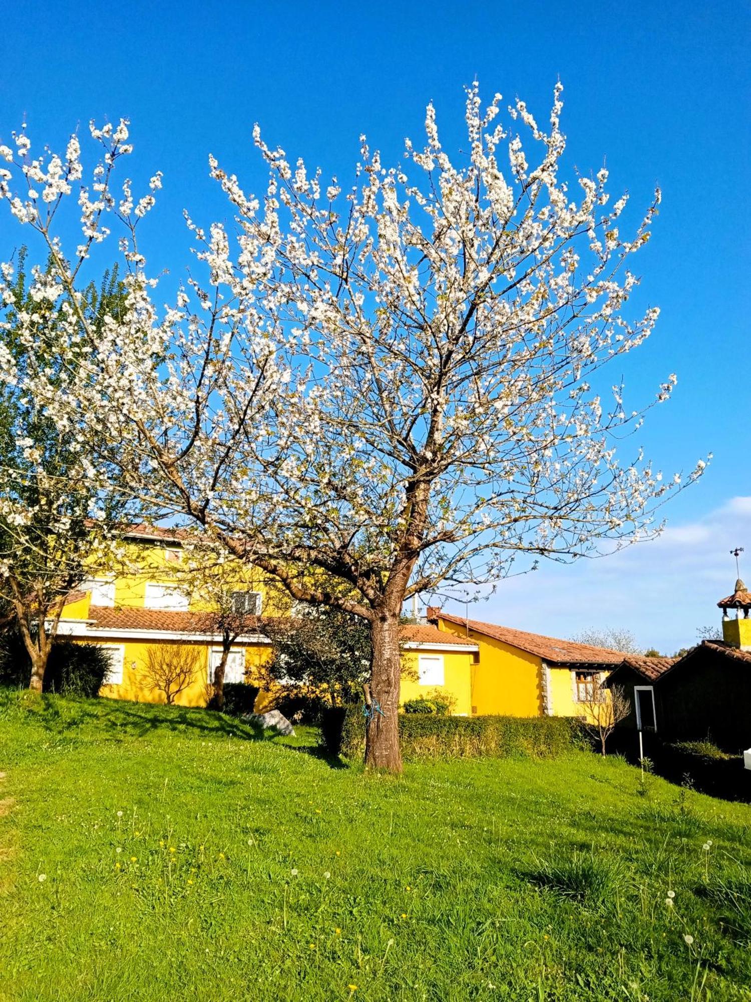 Apartamentos Mariaje Barro  Extérieur photo
